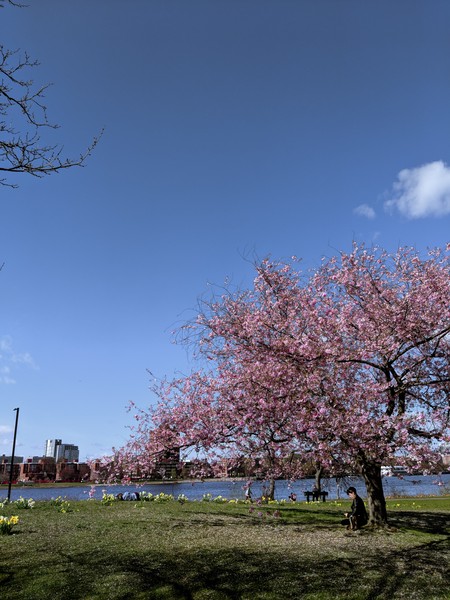 Maker:S,Date:2017-3-13,Ver:6,Lens:Kan03,Act:Lar02,E-Y